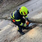 Sturmschaden in der Dobrowskystraße