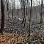 Waldbrand vom 14.03.2022